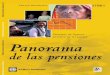 Panorama - World Bank...Panorama de las pensiones. Sistemas de ingreso al retiro en 53 países Edward Whitehouse 00prelim.p65 3 29/07/2007, 20:57