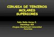 CIRUGIA DE TERCEROS MOLARES SUPERIORESmaxillofacial.co/.../uploads/2014/02/caninos-incluidos.pdf · 2016-10-08 · CIRUGIA DE TERCEROS MOLARES SUPERIORES Pablo Emilio Correa E. Odontólogo