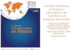 Cambio climático, incendios y abundancia de mamíferos en ... · y 550 especies de mamíferos, de las cuales 170 son endémicas (Ceballos & Arroyos, 2012). Mamíferos en México
