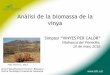 Anàlisi de la biomassa de la vinyavineyards4heat.eu/symposium/160310 AnalisiBiomassaVinya_CTFC_… · Restes vinya vs estella forestal unitats restes vinya estella fusta pi Humitat