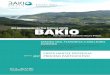 Plan General de Ordenación Urbana (PGOU) · 2017-04-10 · Plan General de Ordenación Urbana (PGOU) Hiri-Antolamendurako Plan Orokorra (HAPO)BAKIO Asistencias Técnicas BAKIOKO