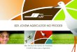 SAE | Serviço de Apoio às Empresassae.ajap.pt/folhetos/Brochura_Ser_Jovem_Agricultor.pdf · SAE | Serviço de Apoio às Empresas