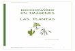 DICCIONARIO EN IMÁGENES LAS PLANTAS - Arasaac · Diccionario en Imágenes: Las plantas Autor pictogramas: Sergio Palao Procedencia: Licencia: 4CC (BY-NC-SA) Autora: Lola García