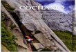 Trekking Cochamó Viajes de calidad en Chile Patagonia y ...trekkingcochamo.cl/pdf/articulos/Revista_Escalando_1.pdf · Lo que a través del catalejo parece una fisura perfecta, frecuente-