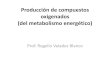 Producción de compuestos oxigenados (del metabolismo … · 2014-08-13 · Producción de compuestos oxigenados (del metabolismo energético) Prof. Rogelio Valadez Blanco . Principales