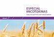 De A a Z...aLos datos de e˜cacia son referidos a una concentración de 2,5 ppm de FB1 y 1 ppm para el resto de micotoxinas. aInvestigación sobre micotoxinas desde 1.994. aÁreas: