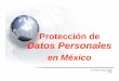 Protección deProtección de Datos PersonalesDatos Personalesarchivos.diputados.gob.mx/.../Acceso_Digital/...Alfredo_Reyes_Krafft.… · Dr. Alfredo A. Reyes Krafft 2009. Protección