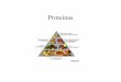 Proteínas - WordPress.com · Niveles de organización en las proteinas. Enfermedades asociadas a Proteínas Defectuosas • Existen varias enfermedades relacionadas a proteínas