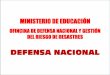 DEFENSA NACIONAL - Hosting Miarroba€¦ · La Constitución Política del Perú y la Seguridad y Defensa Nacional ... en la Defensa Nacional, de conformidad con la ley. Artículo