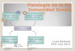 Fisiología de la RI: Inmunidad InnataOrigen y funciones de las células NK Representan entre 5-20% de los linfocitos circulantes, 5% de los linfocitos esplénicos Expresión de CD56