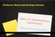 Profesora: María Antonia Rojas Serranomariarojas.iescla.org/.../2019/11/TEMA-11-CATABOLISMO.pdfCiclo de Krebs También denominado ciclo del ácido cítrico o de los ácidos tricarboxílicos