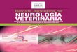 Revista Argentina de NEUROLOGÍA VETERINARIA€¦ · Nota del editor Los objetivos de la Asociación Argenti-na de Neurología Veterinaria incluyen, en-tre otros, promover la difusión