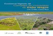 Ecosistemas Vegetales del Complejo de Humedales …...de los ecosistemas de humedales protegidos de importancia internacional “(Proyecto Humedales del SINAC-PNUD-GEF) Proyecto PIMS