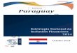BORRADOR Paraguay - Fundación Microfinanzas BBVA · BORRADOR Estrategia Nacional de Inclusión Financiera del Paraguay 2014|2 Agradecimientos La Estrategia Nacional de Inclusión