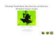 3. Ekologi vertebrat di hutan hujan tropissites.lsa.umich.edu/.../162/2019/07/...di-hutan-hujan-tropis-lowres.pdf · di hutan hujan tropis Andrew J. Marshall Kuliah Lapanagan Taman