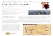 (ACCESIBLE) Camiño Portugués 1 C Portugues Tui-2.pdf · a países como Xapón ou Estados Unidos). Esta ruta tomou relevancia, a partir do século XII, tras a independencia de Portugal