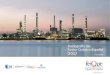 Radiografía del Sector Químico Español 2017 - FEIQUE...(2016) 3.034 Cifra de Negocios (2016) Millones € 59.020 Contribución Economía (2015) del PIB Industrial 12,8% Exportaciones