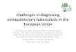 Challenges in diagnosing extrapulmonary tuberculosis in ...€¦ · •Confirmation of EPTB was frequently mentioned as a challenge - for a number of reasons: the difficulty to obtain