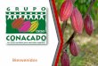 Bienvenidos - Fairtrade Italia€¦ · Bienvenidos. CONACADO: Es una organización que data desde el año 1989 que tiene como objetivo y filosofía acopiar, procesar, transformar