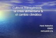 Cultivos transgénicos, la crisis alimentaria & el cambio ... · Cultivos transgénicos, la crisis alimentaria & el cambio climático Henk Hobbelink GRAIN . Biotecnología para alimentar