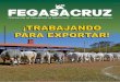 FEGASACRUZ · mó con el Presidente de Fegasacruz, Dr. José Luis Vaca Roque, un Convenio de Colecturía del Impuesto a la Pro-piedad Agraria (IPA) e Impuesto Municipal a las Transfe-rencias
