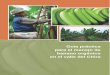 Guía práctica para el manejo de banano orgánico en el valle del … · 2018-12-17 · este documento. Rubén Ganoza Ubillús Jefe de Proyecto Norte Emprendedor Swisscontact 6