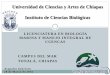 Universidad de Ciencias y Artes de Chiapas Instituto de ...oceanologia.ens.uabc.mx/aformar/documentos... · CAMPUS DEL MAR . TONALÁ, CHIAPAS . Universidad de Ciencias y Artes de
