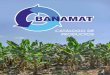 CATÁLOGO DE PRODUCTOS - banamatgt.com BANAMA… · Nuestros productos son reconocidos nacional e internacionalmente ya que la calidad de los mismos es muy competitiva. Nuestros Esquineros,