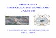 MUNICIPIO - Jaliscoseplan.app.jalisco.gob.mx/files2/PDM2004/Tamazula.pdf · municipio del estado se integran por un Presidente Municipal, un síndico y el número de regidores de