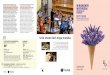 OSE A5 2017 18 MATINEES T alta.pdf 1 8/6/17 10:00 ... · Glass: Cuarteto de cuerda nº2, “Company” Shostakovich: Cuarteto de cuerda nº2 Abendua 16 diciembre QUINTETO B & B BOSKOTEA