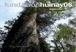 fundaciónhuinay 06 · 2016-07-04 · Durante principios del siglo XX se realizó una tala intensiva que lo llevó al borde de la extinción. Fue declarado Monumento Natural en 1976