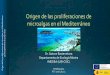 Origen de las proliferaciones de microalgas en el Mediterráneo azul al verde.pdf19 de septiembre de 2019. Ibiza. Aguas azules Proliferación Fitoplancton y proliferaciones Cianobacteria