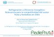 Refrigeración y Eficiencia Energética: Relevancia para la ...€¦ · Chile: candidato ideal para tecnologías CO2. 12 Sector de equipos de refrigeración: tendencias globales