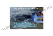 UNA BUENA ALTERNATIVA AL SURF-CASTINGsolopescaonline.es/articulos/mar/spinningm/SPINNING EN LA ISLA B… · 44Solo Pesca TÉCNICAS DE PESCA UNA BUENA ALTERNATIVA AL SURF-CASTING