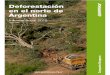 Deforestación en el norte de Argentina - Informe Anual 2019greenpeace.org.ar/pdf/2020/Deforestación en el norte de Argentina... · Las principales causas de la pérdida de bosques