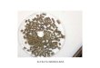 ALFALFA GRANULADA - UCO · alfalfa granulada . cascarilla de pipa de girasol . pulpa de remolacha granulada . pulpa de membrillo desecada . pulpa de remolacha granulada . pulpa de