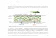 Fotosíntesis · 2017-12-12 · C. Gracia Ecología Forestal: Estructura, Funcionamiento y Producción de las masas forestales 95 6. Fotosíntesis Los árboles utilizan la radiación