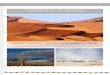 ITINERARIO PARA FLY - IN CAPRIVI OPTION · 2019-10-03 · adentrarse al Parque Namib-Naukluft al amanecer, mientras que la temperatura sigue siendo suave y cuando las dunas están