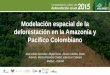 Modelación espacial de la deforestación en la Amazonía y ...181.225.72.78/archivosSIAC/recursosSiac/img/primer... · monitoreo de causas y agentes de la deforestación. •Las