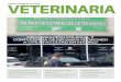 INFORMACIÓN VETERINARIA · 2017-03-09 · 13 Plan de Protección Personal y Responsabilidad Civil para Veterinarios 14 El veterinario, primer garante de la salud y bienestar animal