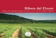 Ribera del Duero · gerirles que visiten la Ribera del Duero en tiempo de vendimia, allá por el mes de oc-tubre, cuando las luces de los tractores sal-pican el paisaje de viñedos