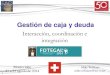 Gestión de caja y deuda - Argentina.gob.arfotegal.mecon.gov.ar/documentos/doc_seminarios/2014... · 2016-08-03 · 1 Gestión de caja y deuda Interacción, coordinación e integración