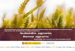 Informe de subsidio agrario y renta agraria noviembre 2018 · 2019-03-27 · 14 Respecto del total de las prestaciones por desempleo, el subsidio agrario y la renta agraria suponen,