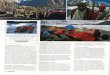 Sin título - Nona Rubiononarubio.es/wp-content/uploads/2010/03/Trekking-Baltoro-Himalaya.pdf · de viaje. Viajaremos por la Karakorum Highway, la carretera internacional más alta
