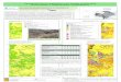 Cartografía de la vegetación con detalle escalonado ... · ancestral en un pequeño sector de 12 cuadriculas U.T.M. de 1x1 km² (ED50) que, todavía hoy,pueden observarse (García-Abad