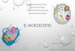 EL MICROSCOPIO - biol3101.files.wordpress.com · EL MICROSCOPIO COMPUESTO Microscopia: permite observar características (forma celular, tamaño, motilidad, etc.) de los organismos