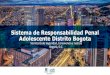 Sistema de Responsabilidad Penal Adolescente Distrito Bogota · Sistema de Responsabilidad Penal Adolescente Distrito Bogota Secretaría de Seguridad, Convivencia y Justicia Bogotá,