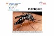 (D) JUEVES 14.45 Arce M - SAP 28-9/… · Debe recordarse los hábitos de la picadura del Aedesaegypti: en la mañana, al amanecer y por la tarde antes de oscurecer. ... CONCLUSIONES