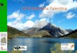 CETS Montaña Palentina - Transición Ecológica · 2019-07-17 · Junio 2013 Febrero 2014 ... El plan de acción 5 10 15 6 4 4 2 2 2 1 1 1 1 Mesa ACD COFMA Ayto CHD Diputación Red