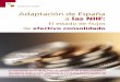 Adaptación de España a las NIIF - Wolters Kluwerpdfs.wke.es/5/3/5/1/pd0000015351.pdf · 2005-11-11 · Adaptación de España a las NIIF: El estado de flujos de efectivo consolidado